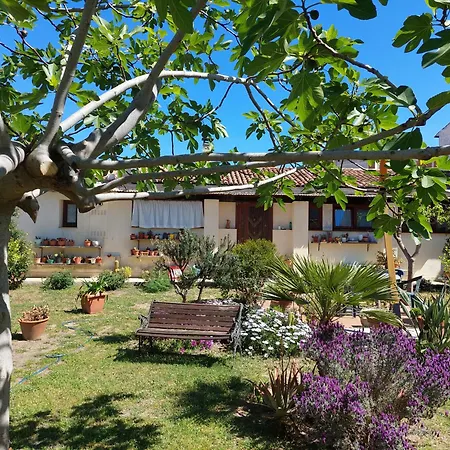 Garden Rooms-2